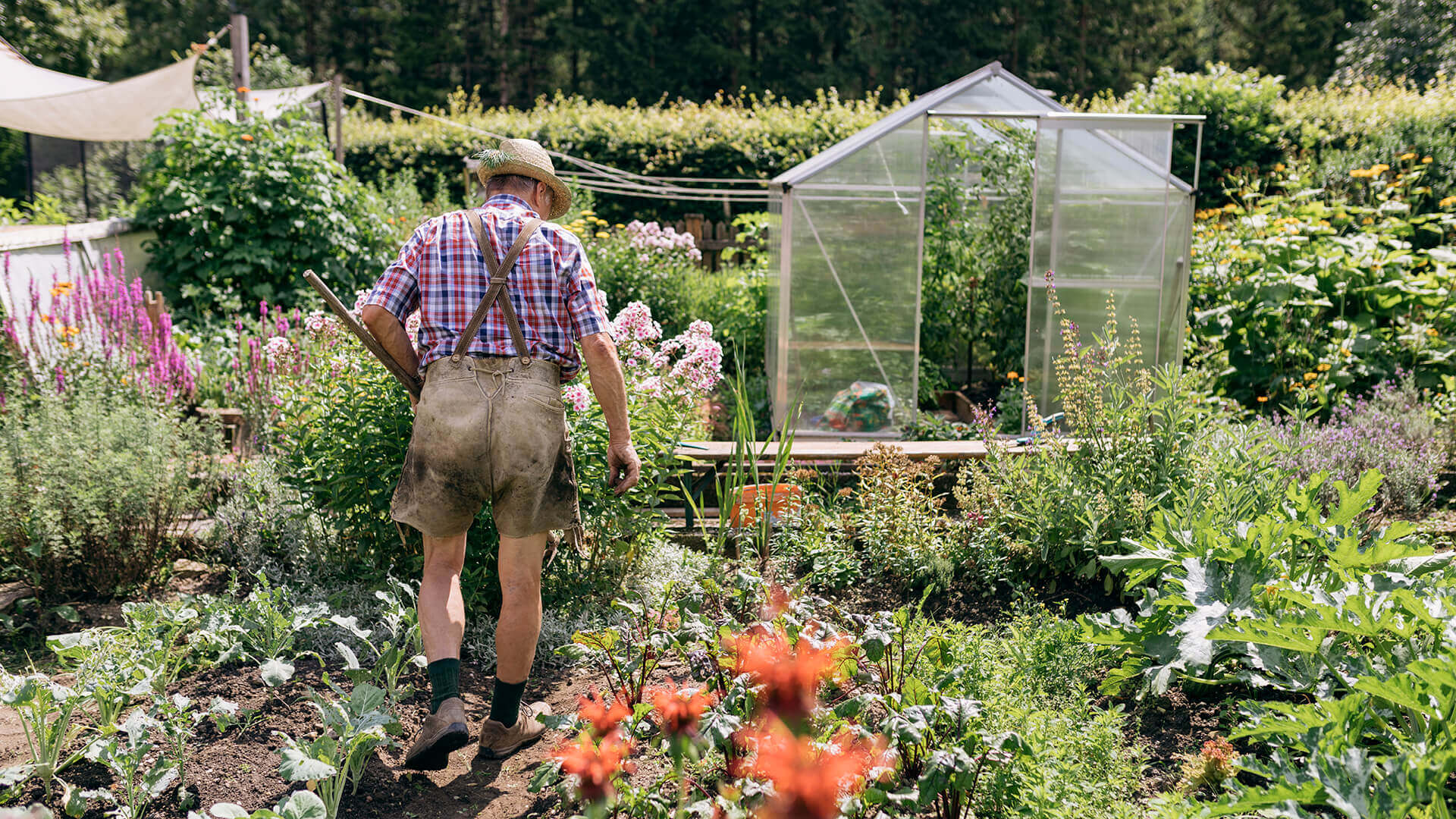 Garten am Biobauernhof Orth