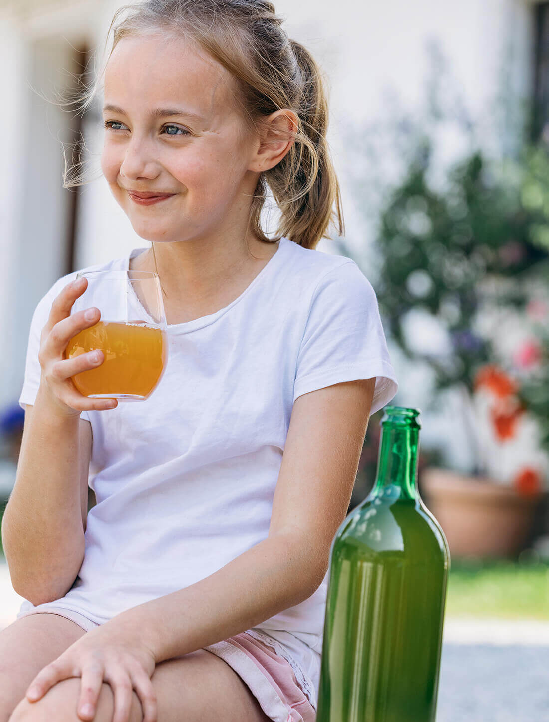 Bio-Apfelsaft und Bio-Birnenmost